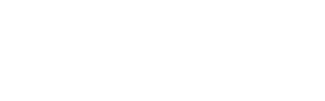 Logo Toronto safes